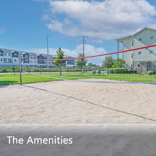 Features and Amenities